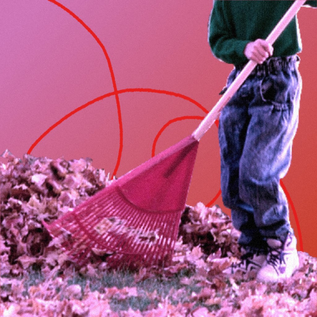 Raking autumn leaves into a pile.